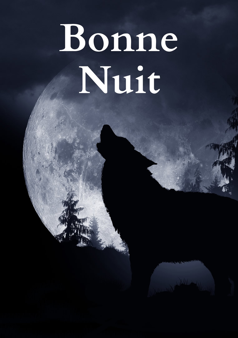 Un loup hurle devant la pleine lune avec l'inscription 'Bonne Nuit'