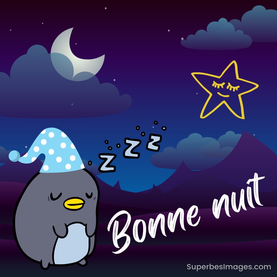 Un pingouin endormi sous la lune, à côté d'une étoile souriante, avec texte 'Bonne nuit'
