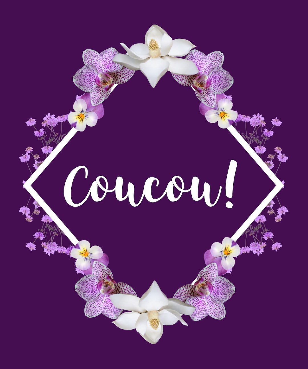 fleurs violettes et blanches avec le mot : coucou