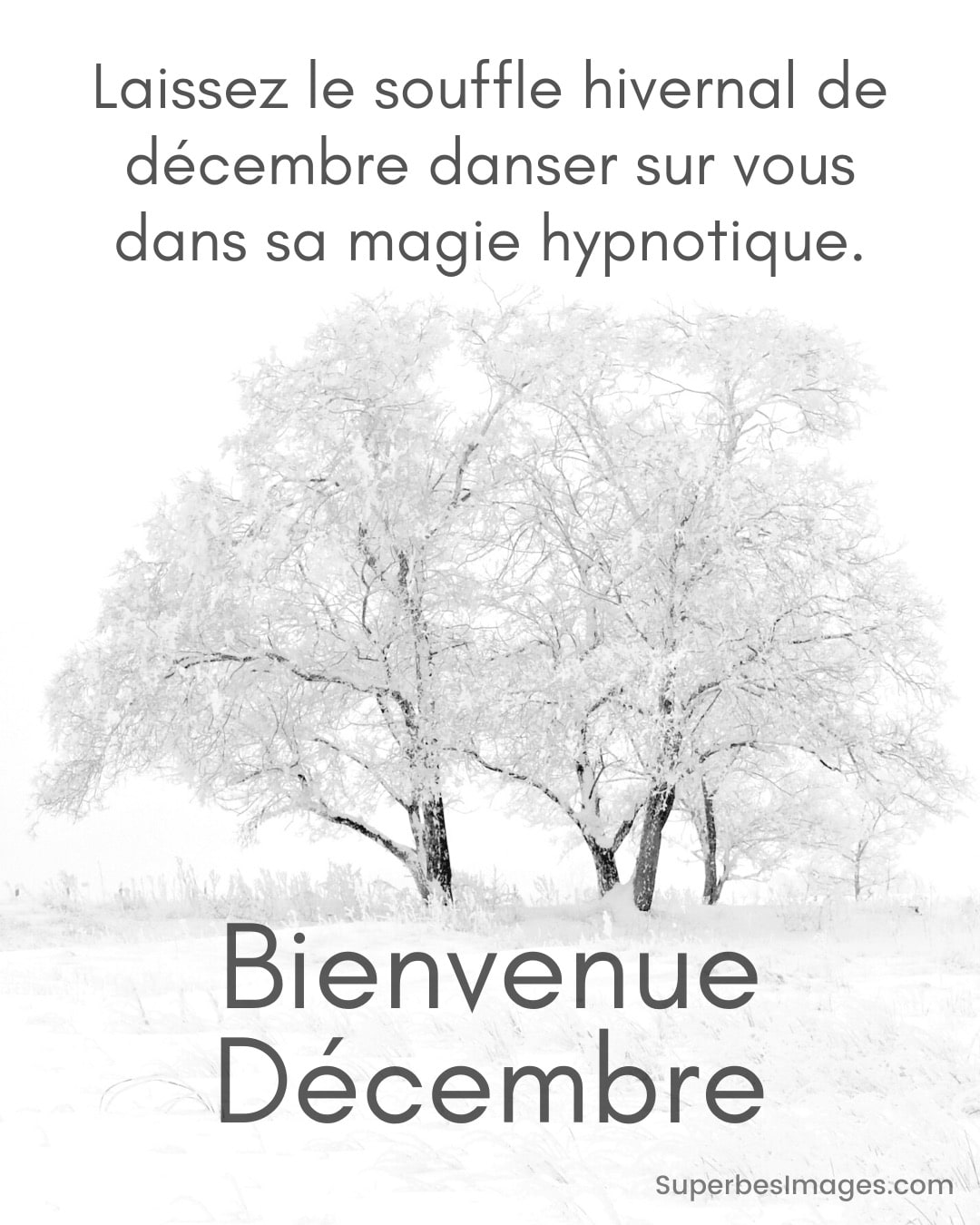 arbres dans un paysage d'hiver couvert de neige, avec une citation de bienvenue en décembre