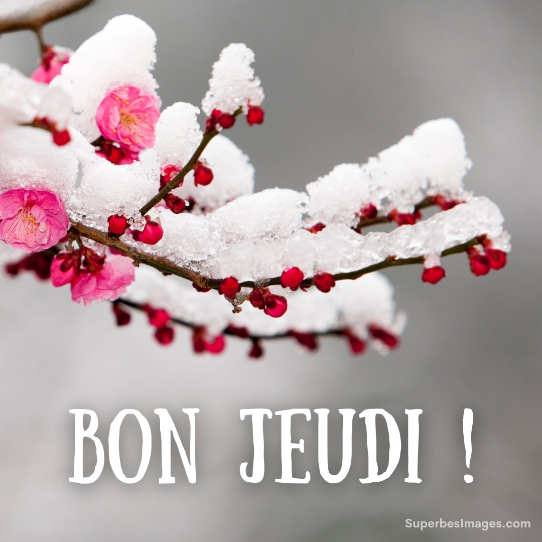 Branche fleurie sous la neige avec inscription 'BON JEUDI !' en bas