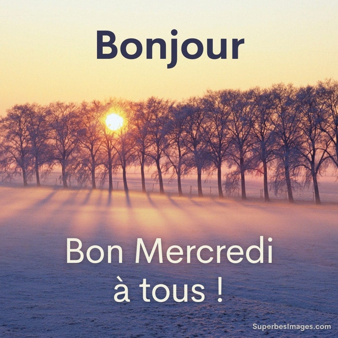 Lever de soleil hivernal avec arbres et texte de salutation pour mercredi