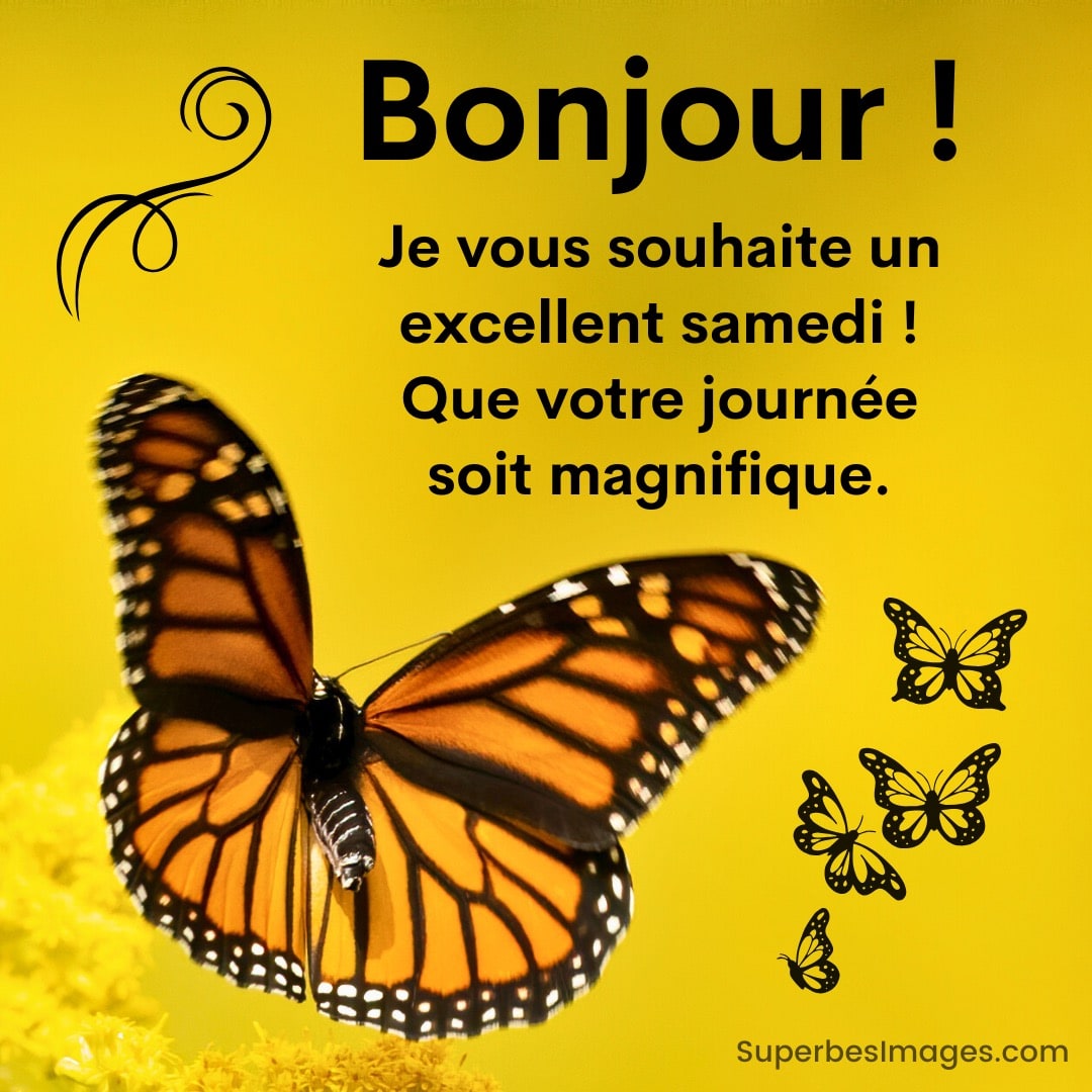Papillon orange sur fond jaune avec texte : « Bonjour ! Je vous souhaite un excellent samedi, que votre journée soit magnifique. »