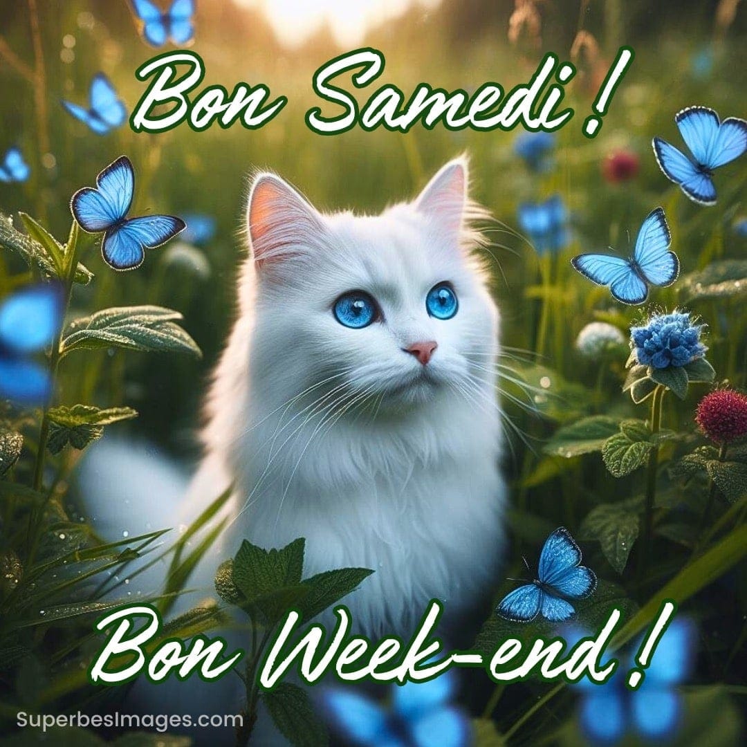 Chat blanc aux yeux bleus entouré de papillons azur dans un jardin, avec le texte « Bon Samedi ! Bon Week-end ! »